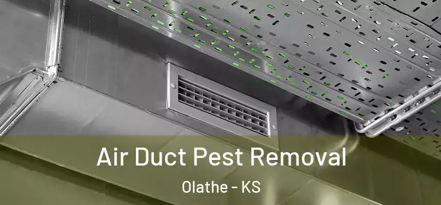  Air Duct Pest Removal Olathe - KS