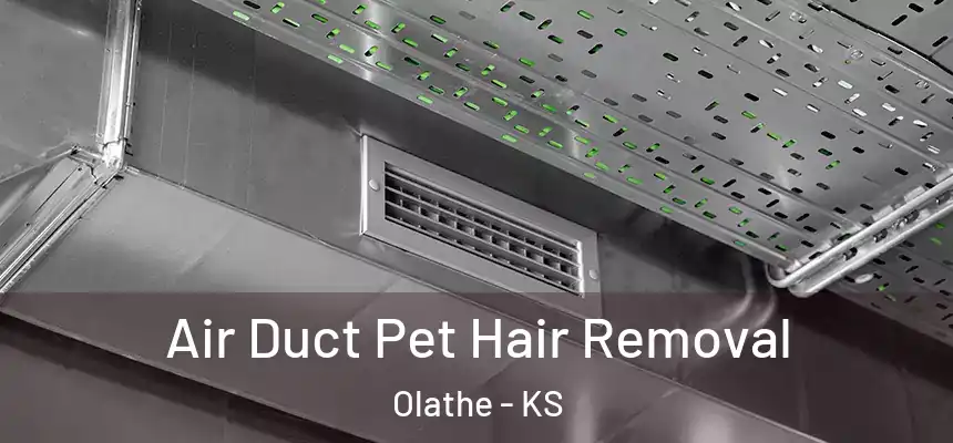 Air Duct Pet Hair Removal Olathe - KS