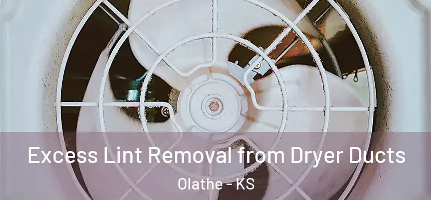  Excess Lint Removal from Dryer Ducts Olathe - KS