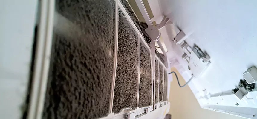 Preventive Air Duct Bacteria Removal in Olathe