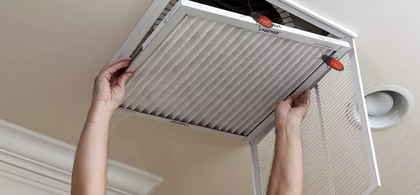 Preventive Cockroach-Proofing for Ducts in Olathe