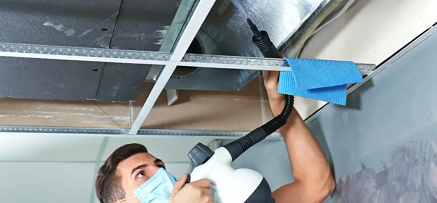 Our Air Duct Rodent Removal Services in Olathe, KS