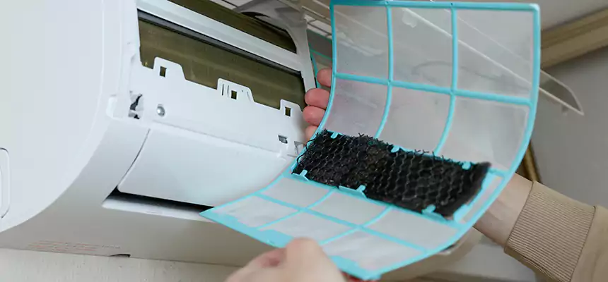 Gentle Ductwork Odor-Control Pet Dander Duct Cleaning in Olathe, KS