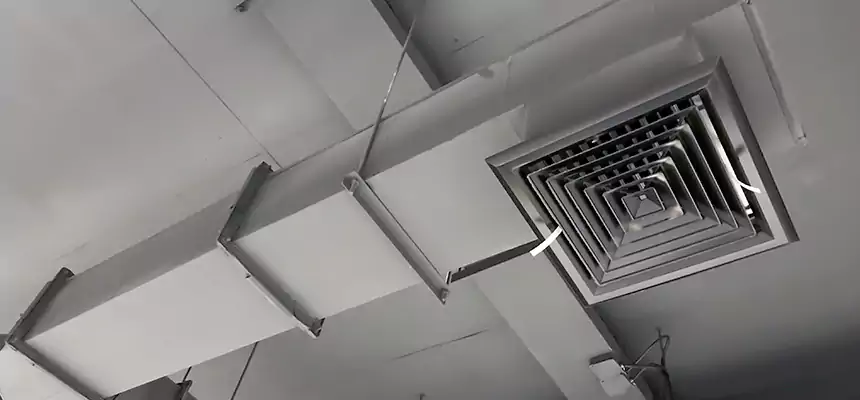 Our Rodent Droppings In Vents Services in Olathe, KS