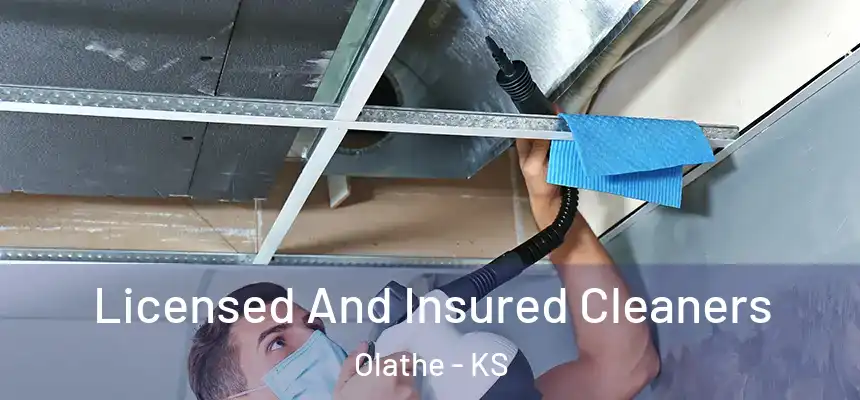 Licensed And Insured Cleaners Olathe - KS