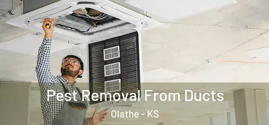 Pest Removal From Ducts Olathe - KS