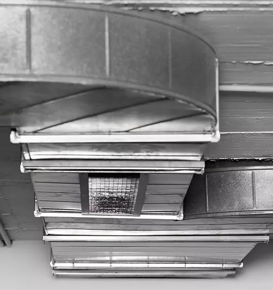 Professional Air Duct Pest Removal in Olathe, KS