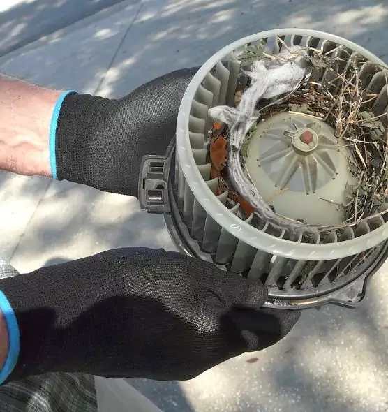 About Air Duct Rat Removal in Olathe, KS