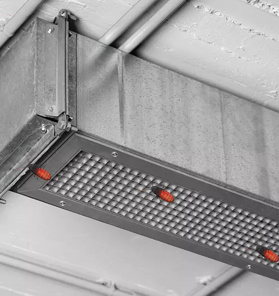 Affordable Insect Removal from Air Ducts in Olathe, KS