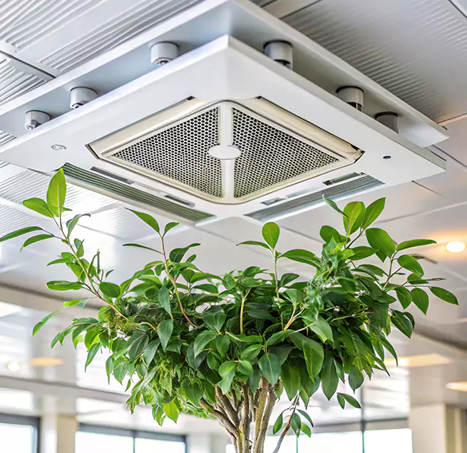 Why Homeowners & Businesses Trust Us in Olathe, KS?