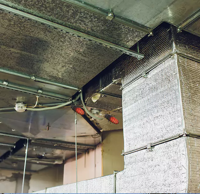 Why Homeowners & Businesses Trust Us Olathe, KS?